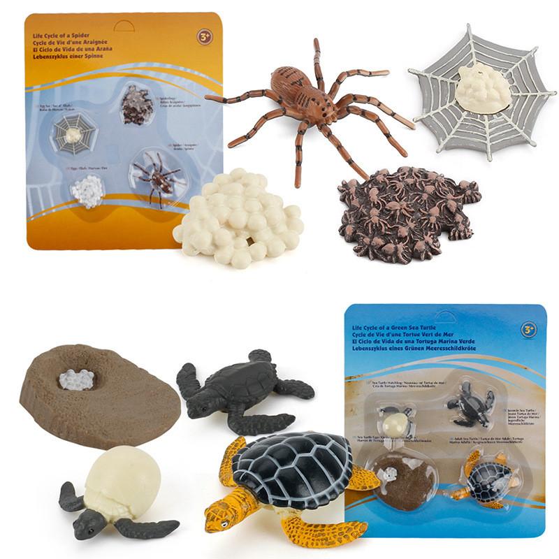 Animal Model Set Pvc Collectible Insect Bird Reptile Amphibian For Education And Display