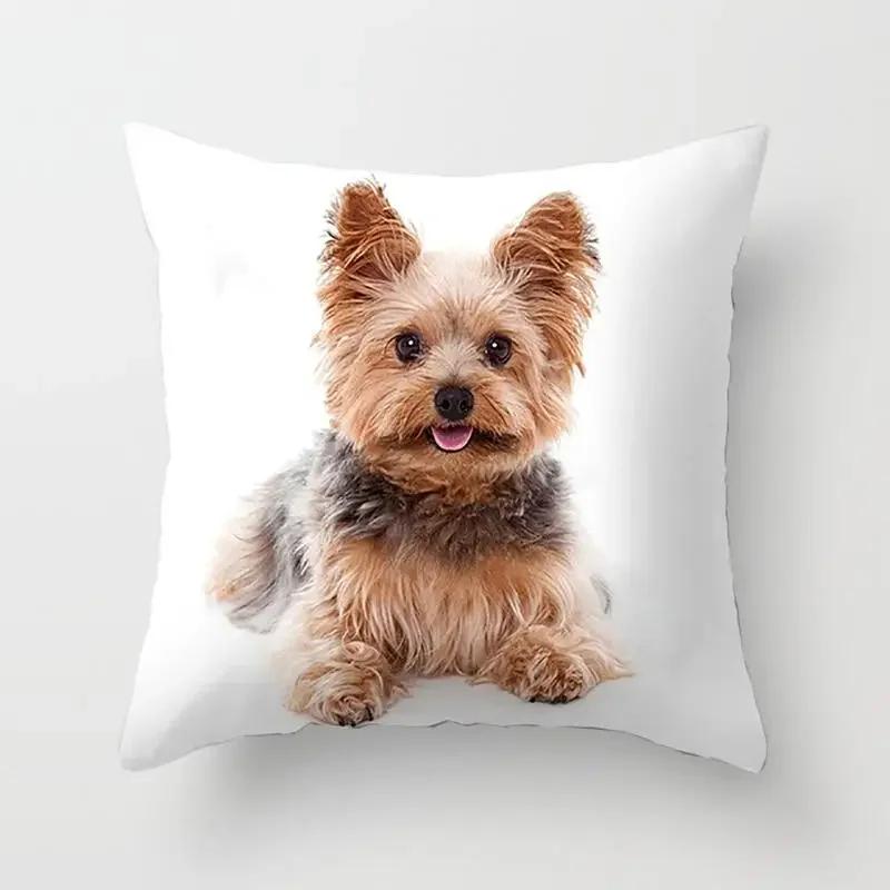 Schlafzimmer Sofa Lendenkissenbezug Auto   Niedlicher Yorkie Bichon Frize Yorkshire Druck Kissenbezug