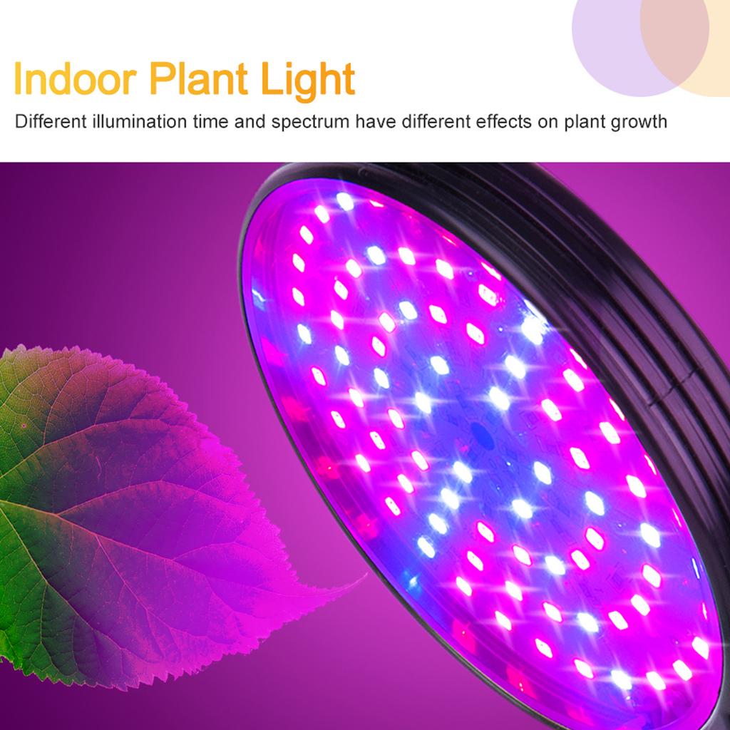 Luz de Planta Temporizada com Controle Remoto USB Impermeável Espectro Completo LED para Crescimento de Plantas Suculentas e Mudas