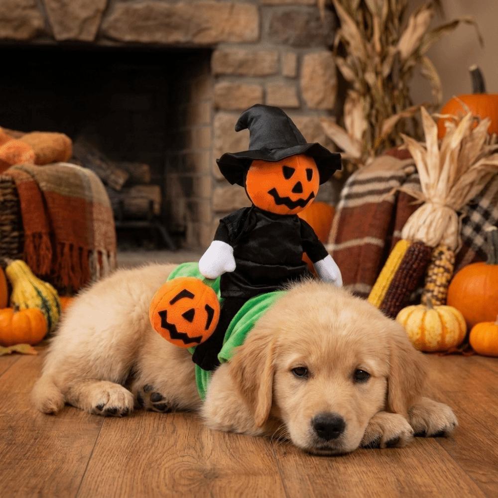 Standing Style Black Hat Pumpkin Pet Clothing Ghost Face Pumpkin Dog Cosplay Clothes Halloween