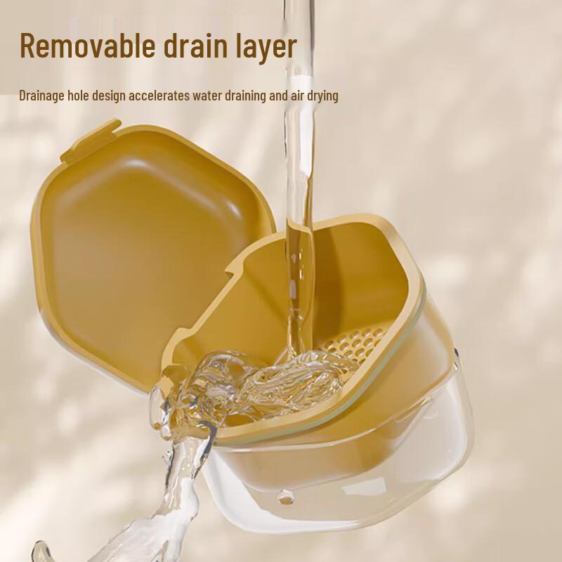 Portable Orthodontic Retainer and Denture Case