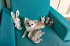 FAD Hundespielzeug FAD Tierplüsch PTFA01305 M Größe Spielzeug/M/Kaninchen (1 Stück)