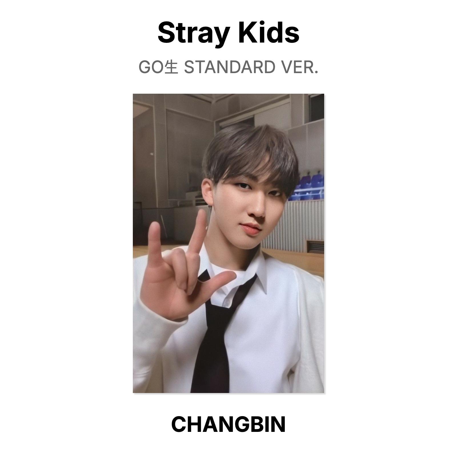 Stray Kids GO СТАНДАРТНАЯ ВЕРСИЯ. Официальная фотокарта CHANGBIN