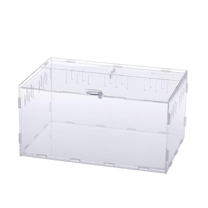 Reptiles Feeding Box Breeding Cases Portable Acrylic Terrarium Clear Insect Habitat for Mini Lizards Pet Centipedes