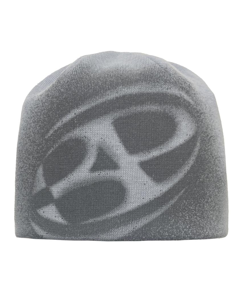 Bipitudiseuodeo Big Logo Spray Beanie Gray