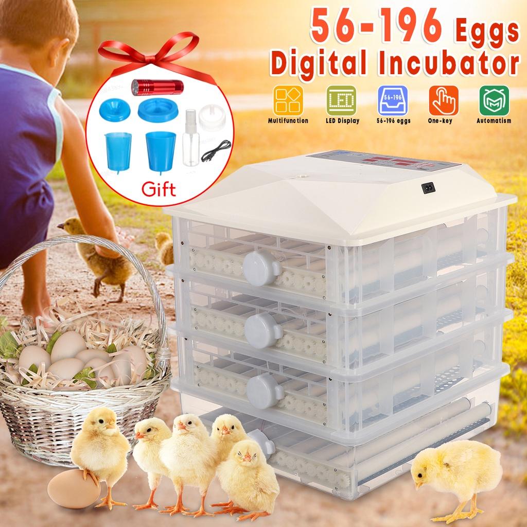 56/98/150/196 Automātisks olu inkubators Farm inkubatora