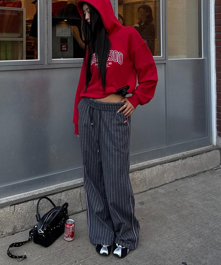 Minasu Mns Pinstripe Wide Brushed Pants_Gray