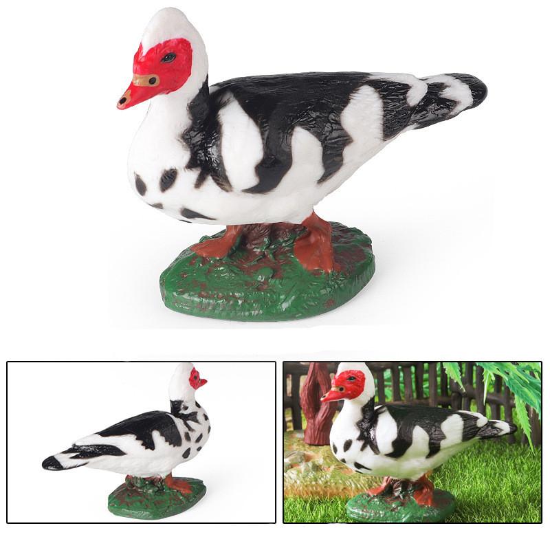 Realistic Animal Model Collection Featuring Poultry Toys For Kids Educational Use