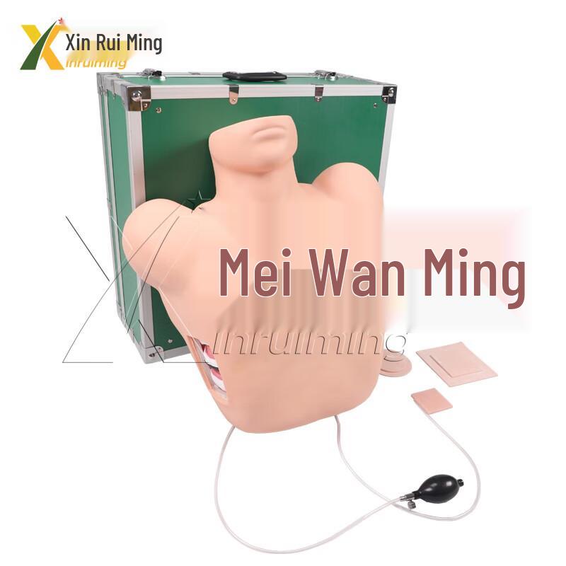 Xin Ruiming Thoracic Puncture Drainage Training Model