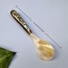 Natural Conch Shell Dessert Spoon 12/16cm Reusable Eco-friendly Spoon for Coffee Ice Cream Caviar Home Party Dessert Bar Use