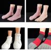 Set of 2 Female Foot Replicas PVC Construction Foot Mannequin Foot Anatomy Training Tool Suitable for Shoe Marketing
