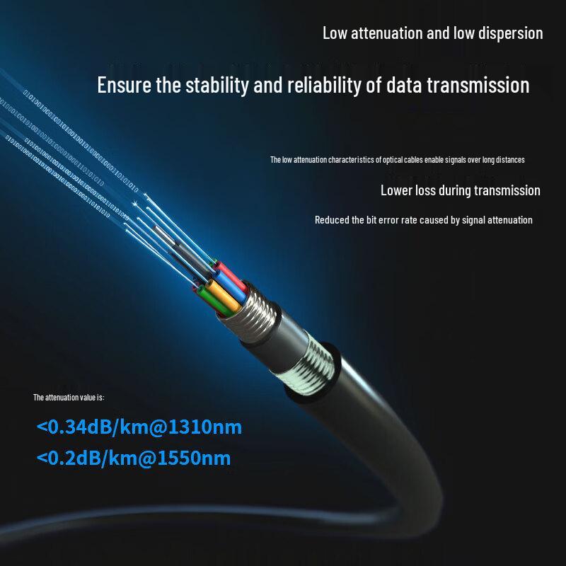 BOYANG GYTA53 Armored Single-Mode Outdoor Fiber Optic Cable 12-core, 100m