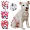 Pets Pants Female Dog Physiological Pants Elastic Waist Dog Underwear Cute Sanitary Panties Dog Clothes Ropa De Perros Mascotas
