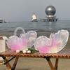 Set Of 5 Pink butterflycake Boxes Plastic Decorative Containers For functions