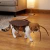 Realistic Pet Cockroach Cosplay Costume with Wing Costume Pranks Outfit  Halloween