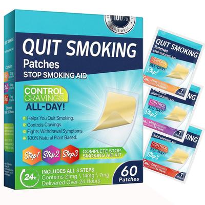 60 Abstain Mist Patches, Aufkleber für Männer und Frauen, atmungsaktive Kräuterpflaster für den ganzen Körper(1 Box)