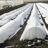 Garden Landscape Winter Warmer Floating Row Cover for Plants Frost Protection Blanket Breathable Non-woven Tear Resistant Blanket Fabric Plant