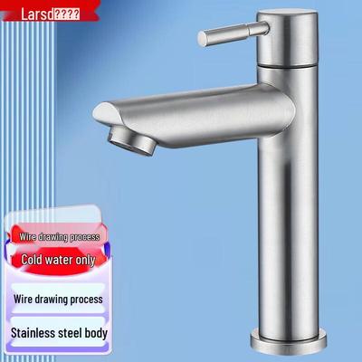 Larsden 304 Stainless Steel Single Cold Basin Faucet