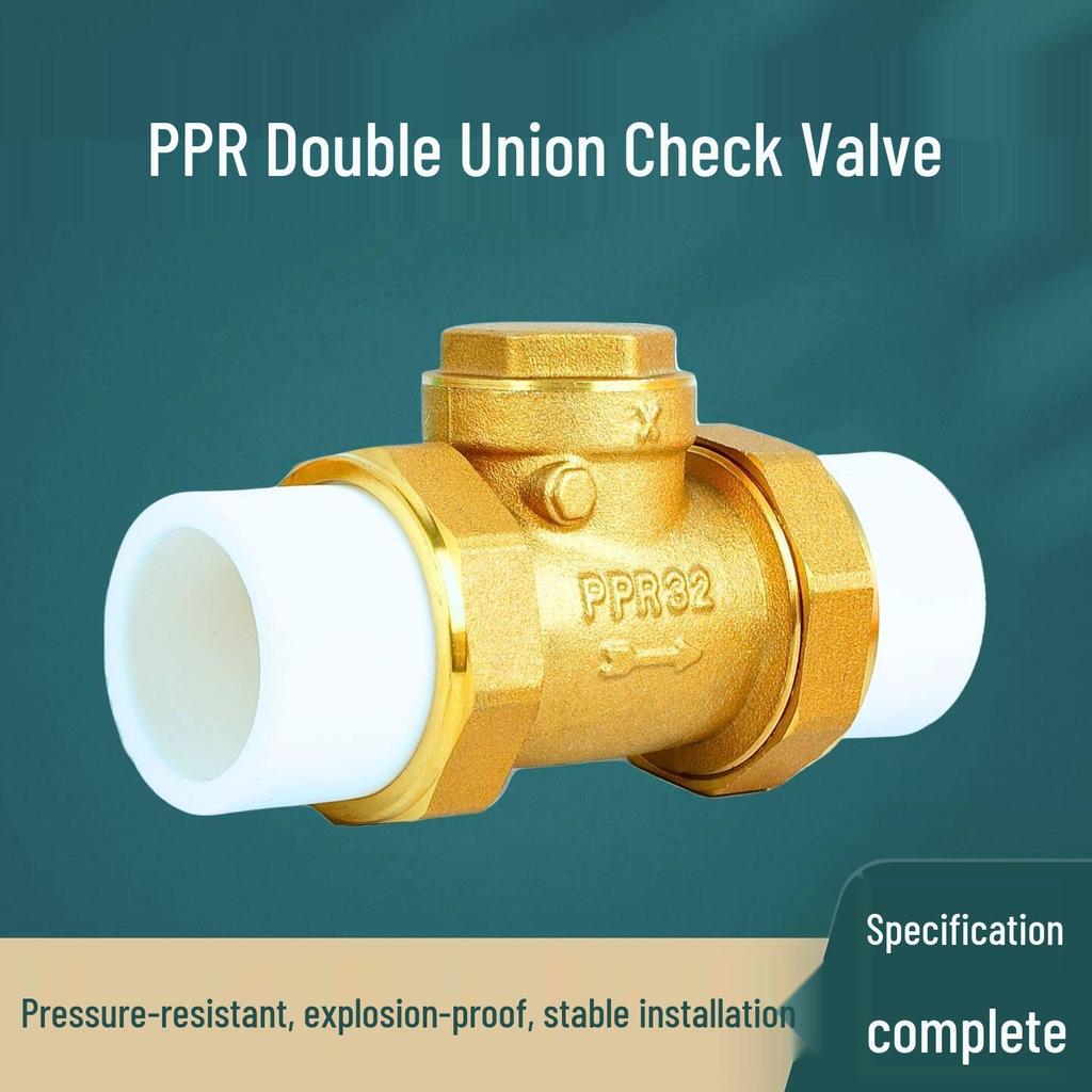 Brass Check Valve: PPR 20 4-point, 25 6-point, 1 Inch 32 Hot Melt Horizontal One-way Anti-backflow Water Pipe.