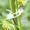 Gesicherte Pflanzenclips aus Kunststoff, Befestigungsclips für Pflanzenreben, glatte Kante, Schnallendesign, Zubehör für Gartenpflanzen-Stützclips