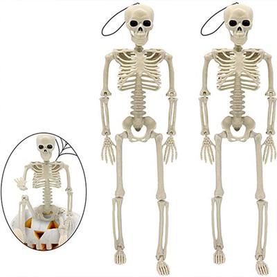 New 2Pcs Halloween Skeletons Decorations Full Body Posable Joints 16"Skeletons