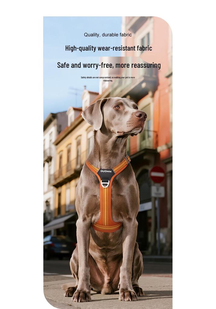 Shock-Absorbing Reflective Dog Harness with Double Handle for Large Breeds