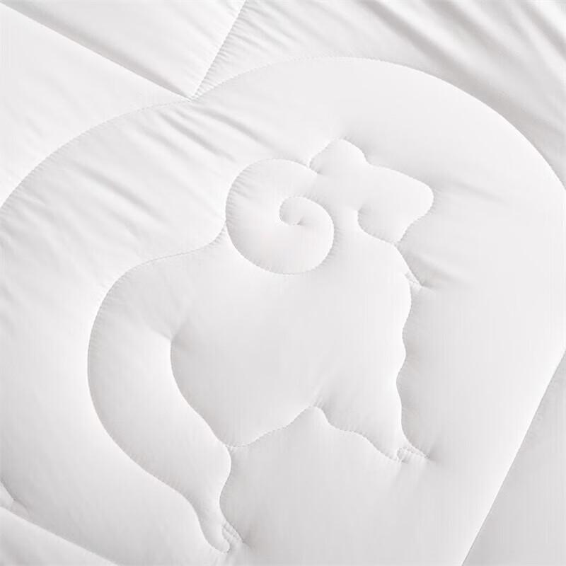 Mercury Home Textiles Antibacterial Quilt