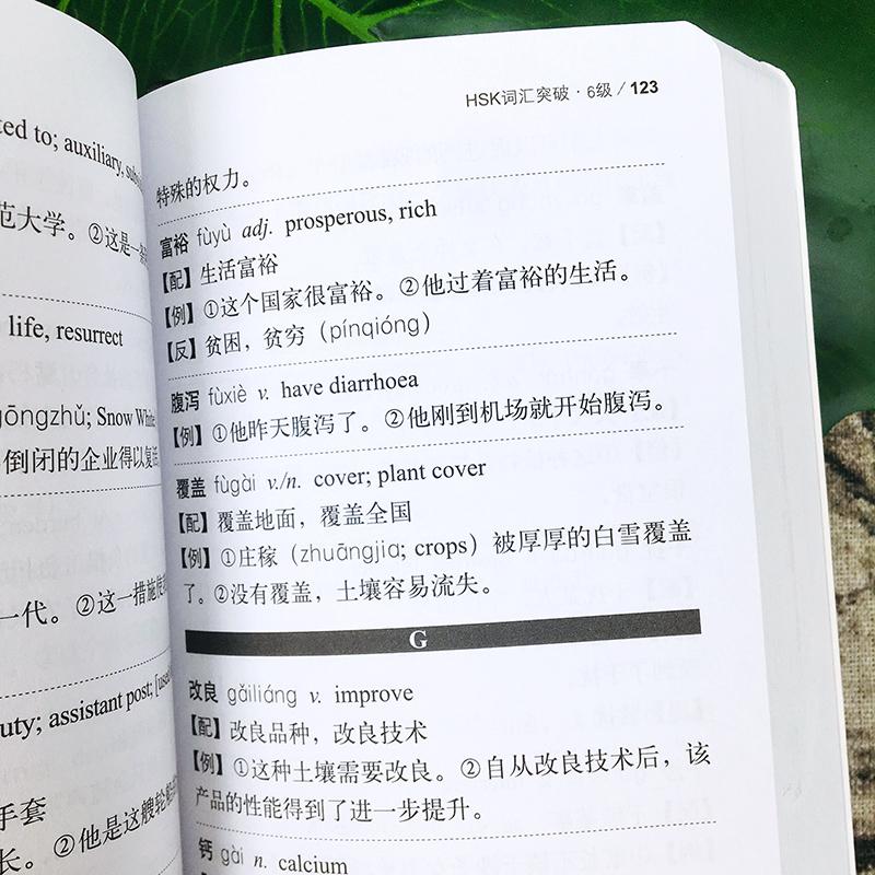 2500 Chinese HSK Class Series Vocabulary Level 6 Students Test Book Pocket Book