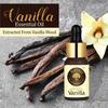 Old Tree Vanilla Essential Oil for Home Fragrance (15ml) - Essential Oil for Skin, Face, Hair, Diffuser, Candle Making -