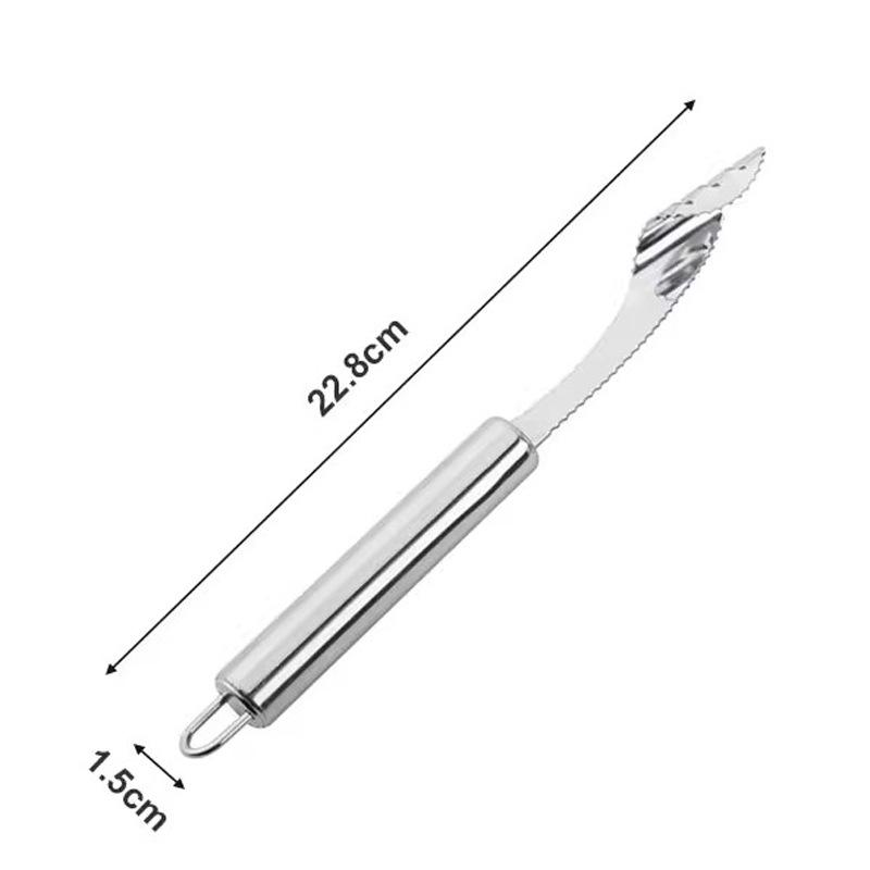 Stainless Steel Fruit Corer & Seed Remover for Apple, Pear & Chili