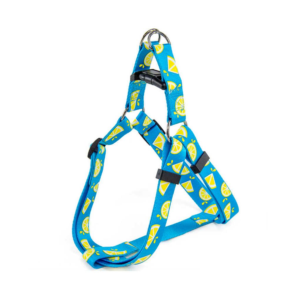 All For Paws Dog Harness For Small Large Dogs Blue Lemon Printed Nylon Adjustable Vest Outdoor Walking Running Dog
