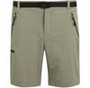 Шорты Regatta Xert Strshort Iii Коричневый