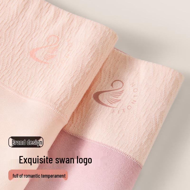 FitonTon Women's Plus Size High-Waist Cotton Briefs 4-Pack