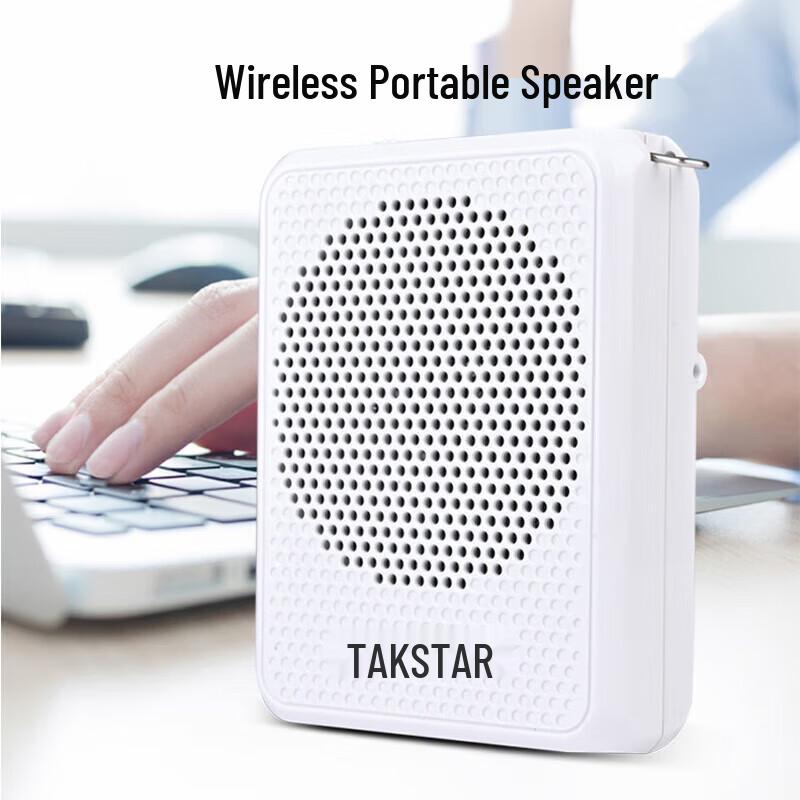 TAKSTAR E126W Tragbarer Drahtloser Verstärker
