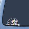 Skelett Peep Skelett Peep Autoaufkleber Halloween Fenster Halloween Vinyl Aufkleber Auto Fahrzeug