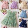 Korean Style Girl Dress With Embroidered Flowers And Tulle For Toddler Girls