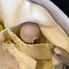 Portable Mom Storage Bag for Strollers Hand Carrying Travel Case Pouch or Hospital Use with Spacious Compartments