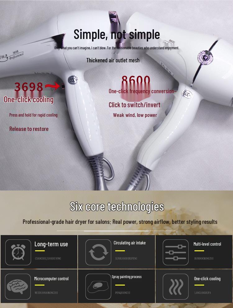 High-Power Professional Hair Dryer for Salon & Home: Strong Wind, Gentle Care