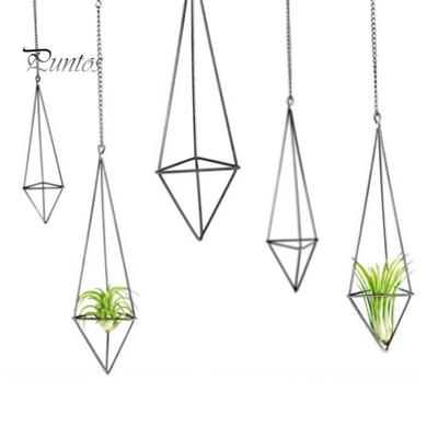 1 Set Pratico Porta Espositore per Fiori a Forma Geometrica ad Alta Resistenza Vaso Sospeso per Tillandsia Contenitore per Fiori Decorazione Forniture per la Casa