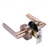 Black Door Handle Door Handle Lock Square Channel Privacy Mask Interior Bedroom Room Bathroom Three-Bar Spherical Lock Home Lock