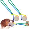 Dog Ball 2 Pieces Glow Teeth Grinder With Rope Bouncy Dog Ball For Puppy Small Medium Large Breed Boredom Play Indoor Outdoor
