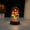 Small rose night light ornament creative Christmas and Valentine's Day gift immortal simulated flower gift