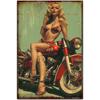 Sexy Girl On A Motor Cycle Tin Signs Retro Classic Art Wall Decoration  GarageRoomFarm Tin Painting Artwork