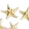 Fish Tank Starfish Decor Unique Beautiful Starfish Ornament Set for Home Aquarium DIY Photo Frame Wind Chime Type 1