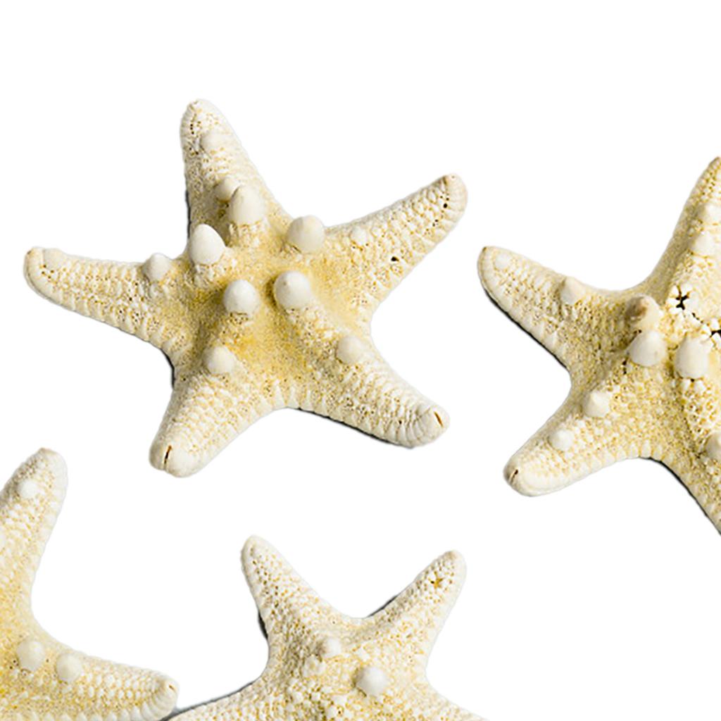 Fish Tank Starfish Decor Unique Beautiful Starfish Ornament Set for Home Aquarium DIY Photo Frame Wind Chime Type 1