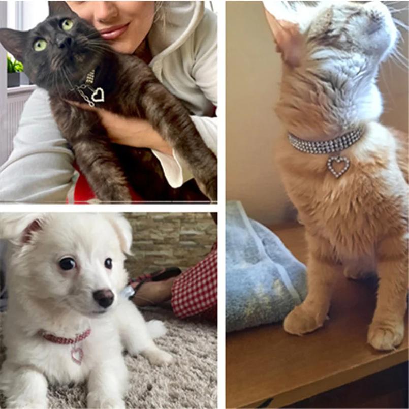 Neue Katze Hundehalsband Dreireihiges Elastisches Strass Haustierhalsbänder Liebesdekoration Halskette Welpe Kätzchen Ornament Haustierbedarf