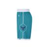 Air Jordan Hornets Icon Edition 2020 NBA Swingman Shorts 'Teal White' Men's CN8083-443