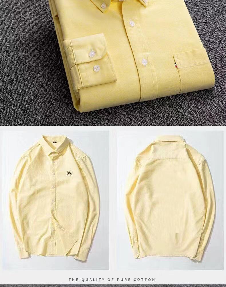 Men's Pure Cotton Embroidered Oxford Shirt - Long Sleeve, Solid Color, Spring/Autumn Business Casual