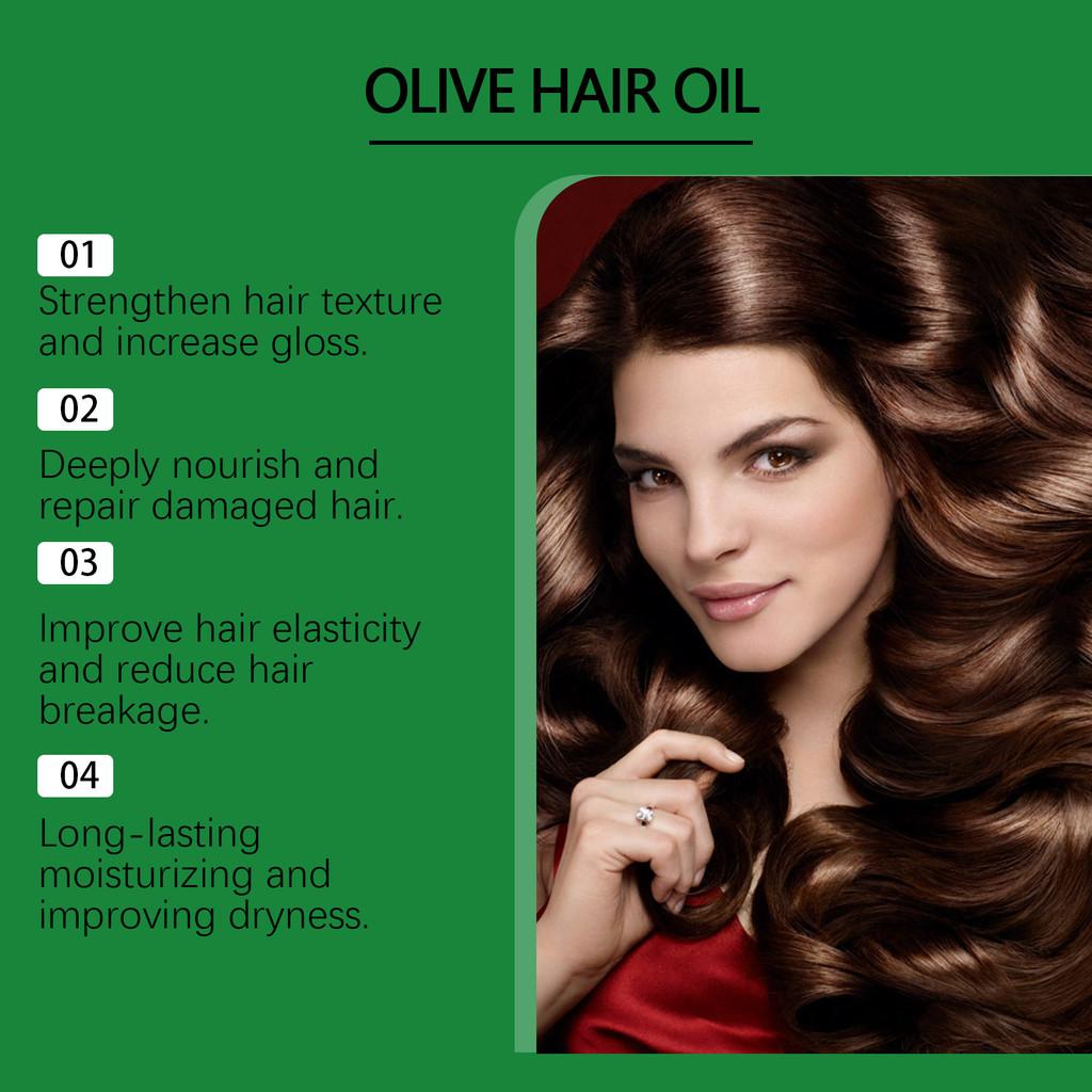 Hoegoa Olive Hair Care Oil Deeply Moisturizing And Nourishing Smooth Shine Treatment 50ml