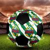 SIZE 5 Rapid Vienna Soccer Ball Colorful All Ages Machine Stitched PVC Competition Ready Durable High-Bounce